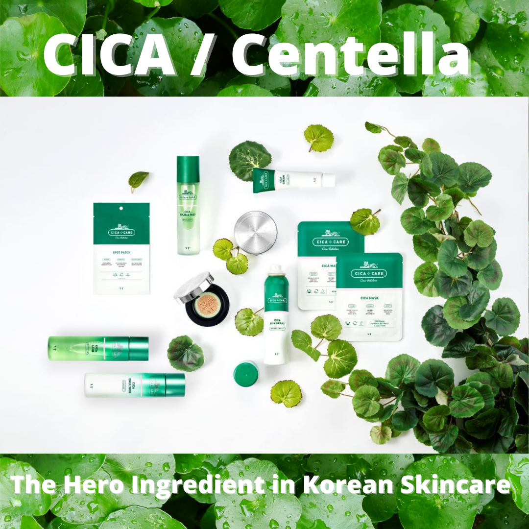 What We Need to Know About Cica/Centella, The Hero Ingredient in Korean Skincare