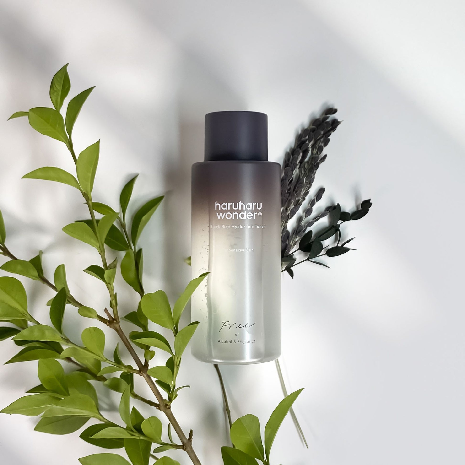 Haruharu Wonder Black Rice Hyaluronic Toner in a 300ml bottle, alcohol-free and fragrance-free skincare product.