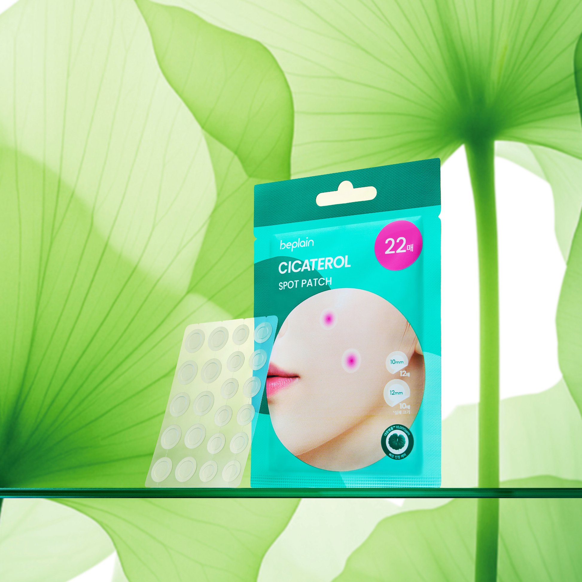 Beplain Cicaterol Spot Patch pack with 22 adhesive patches for acne and blemish treatment, shown in a close-up image.