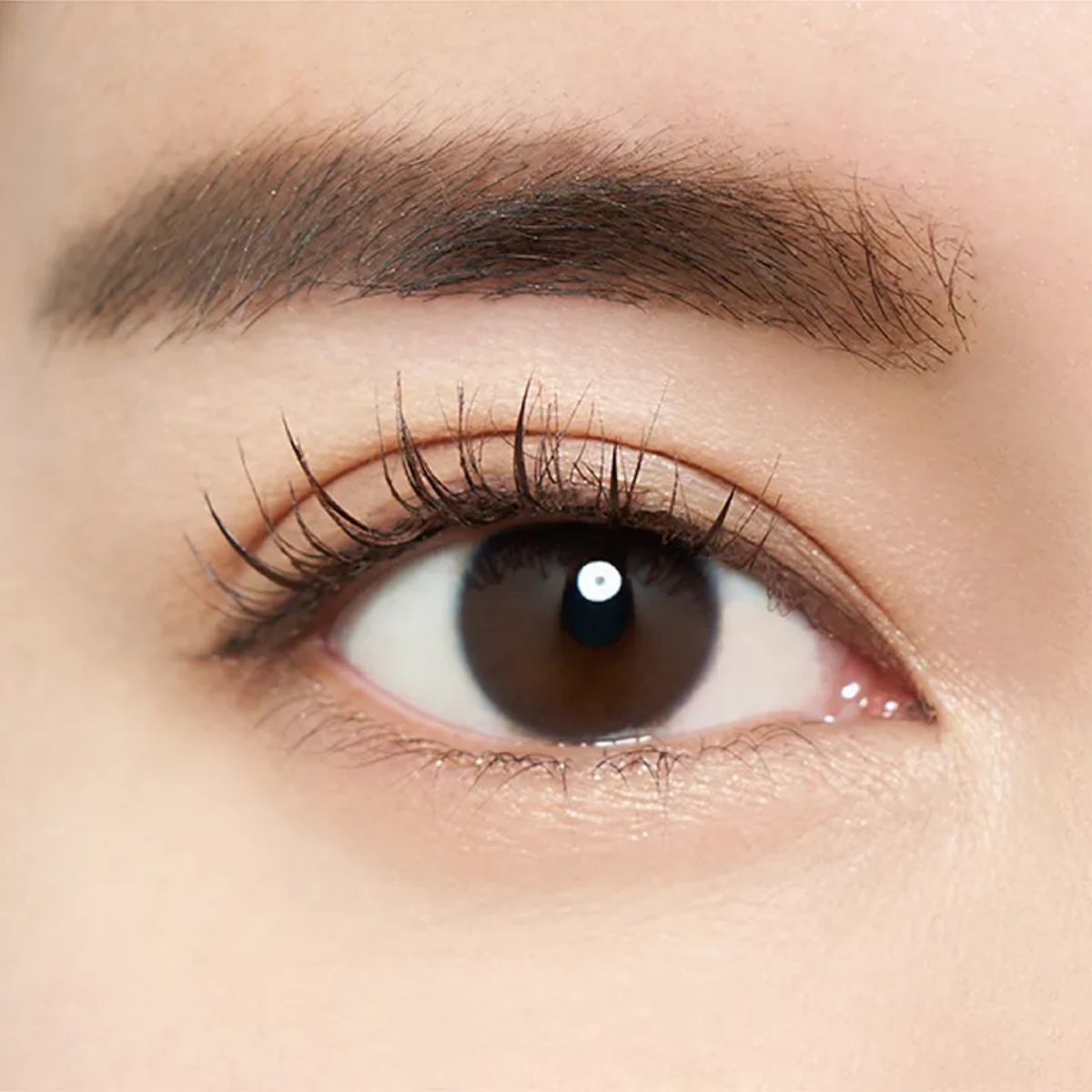 MICHE BLOOMIN Eyelash No. 49 Brown Lure Ext - Shop K-Beauty in Australia