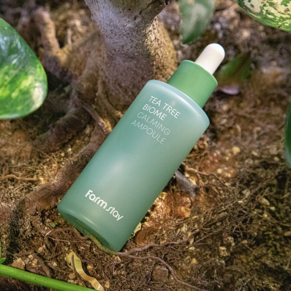Farmstay Tea Tree Biome Calming Ampoule 50ml bottle with clear label and pump dispenser, designed for soothing skincare.