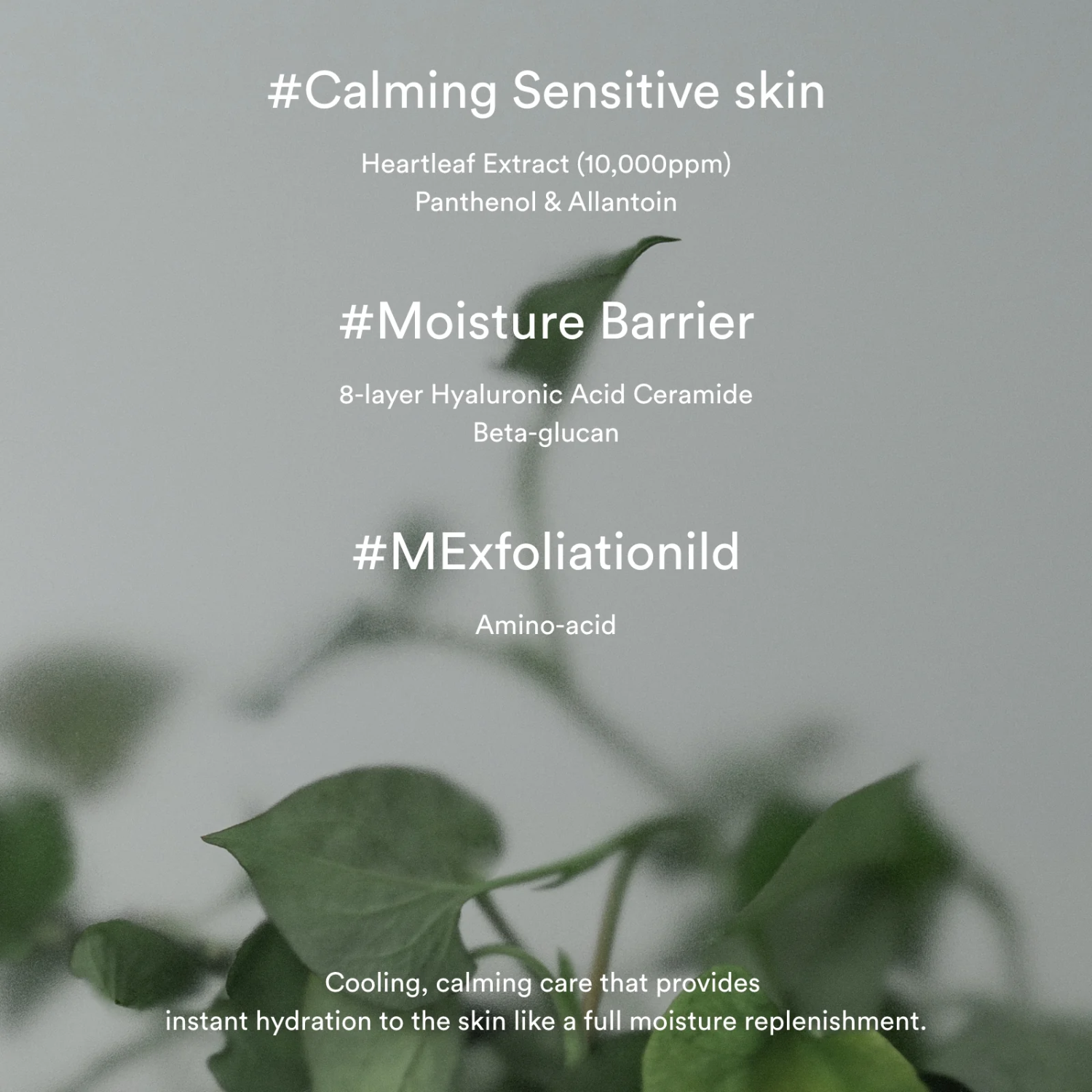 Abib Heartleaf Creme Calming Tube, 75ml face moisturizer in a white tube with green accents, designed for sensitive skin.