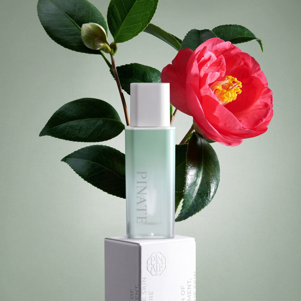 Pinate Natural Bloom Lip Oil Serum in clear lip gloss tube, glossy finish with hints of floral ingredients visible.