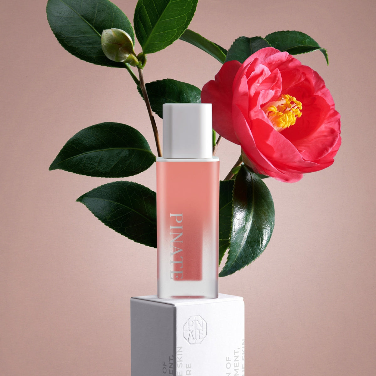 Pinate Natural Bloom Lip Oil Serum in clear lip gloss tube with a smooth, glossy finish and a white applicator wand.