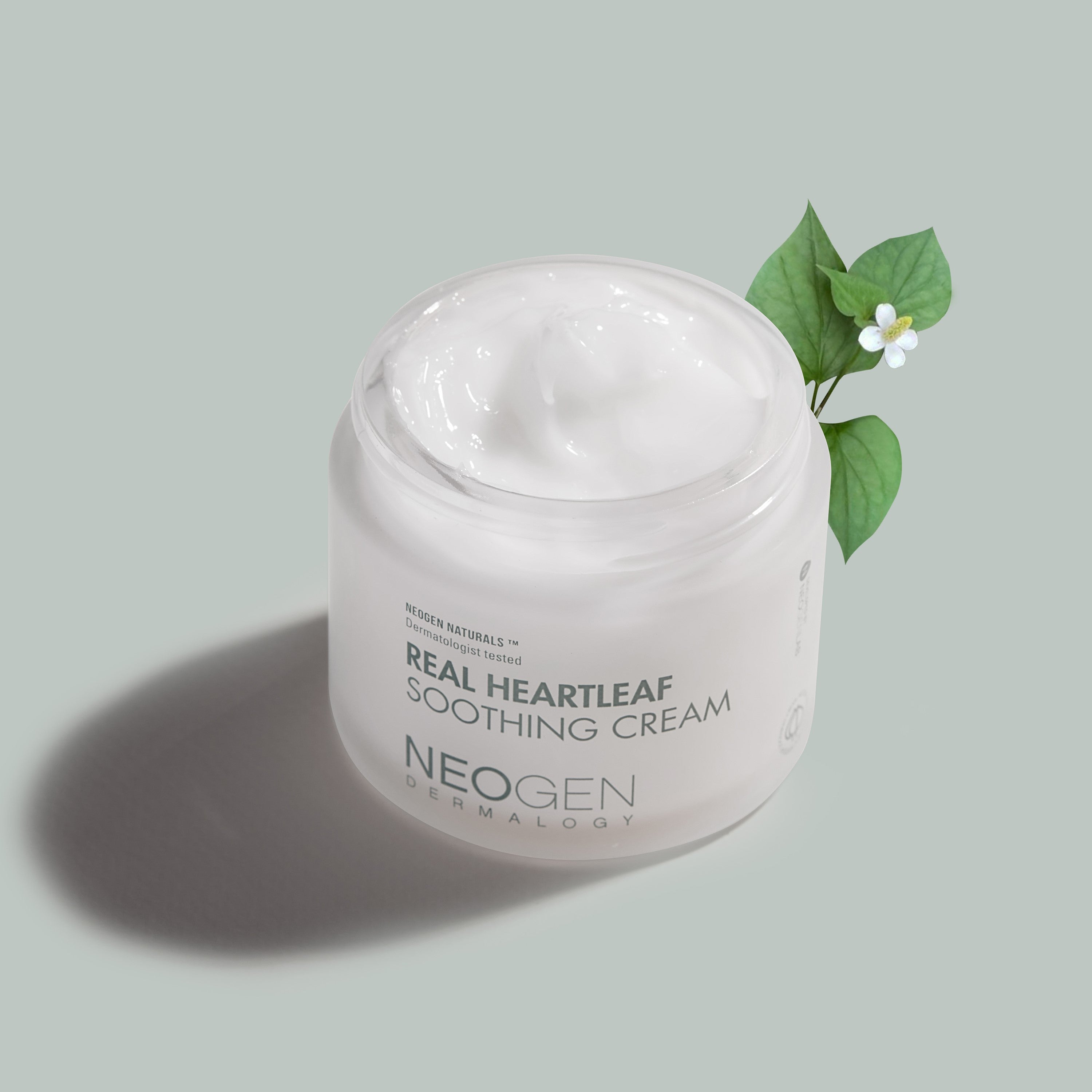 NEOGEN Dermalogy Real Heartleaf Soothing Cream 80g - Shop K-Beauty in Australia