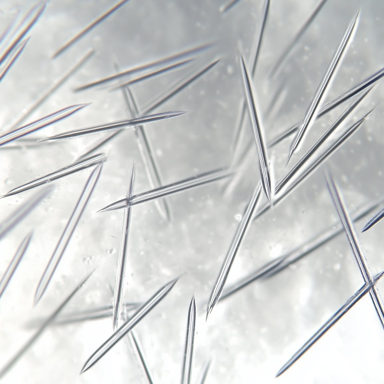 Medi-Peel Phyto Exosome PDRN Lifting Shot Serum 50ml