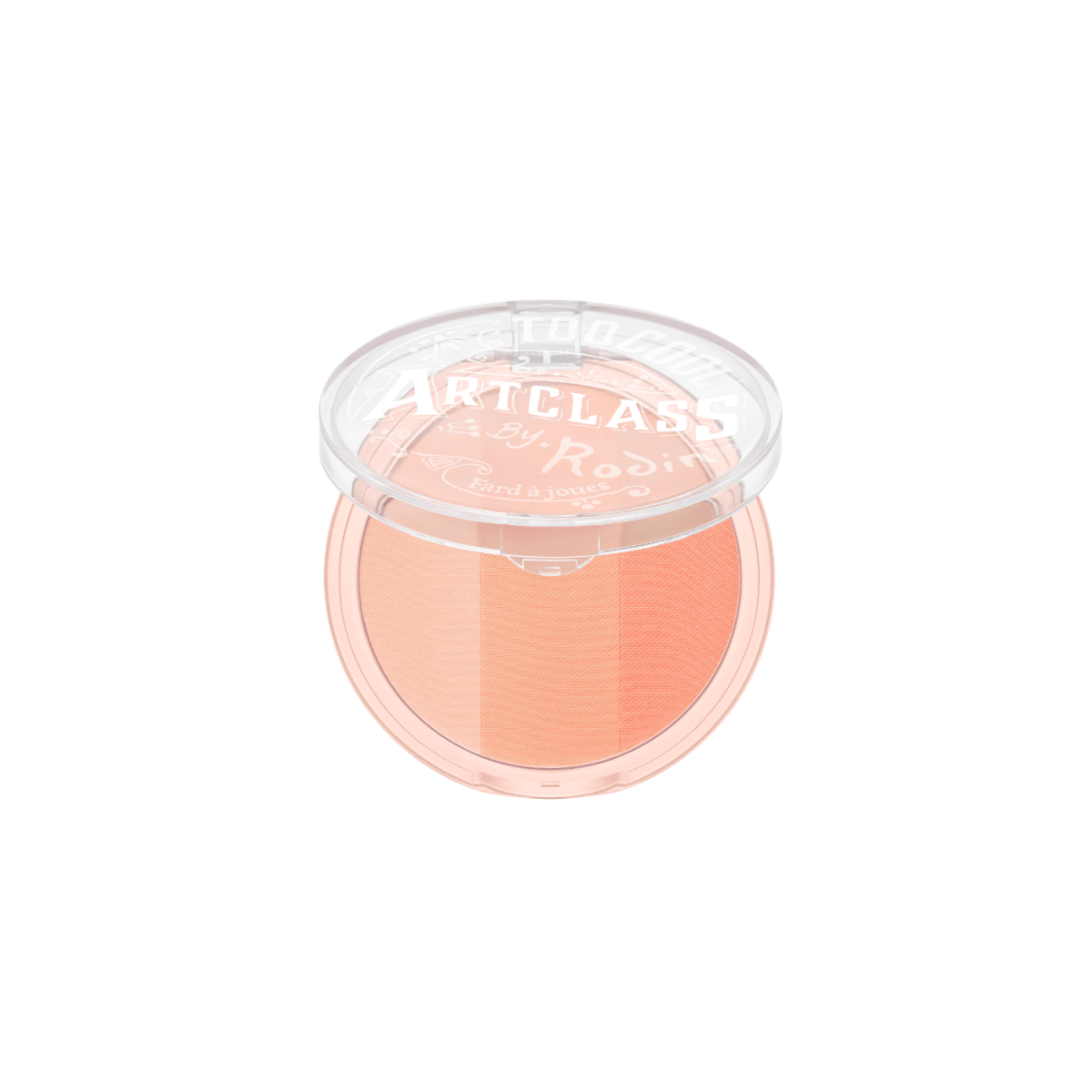 Too Cool For School Artclass By Rodin Blusher | La Cosmetique