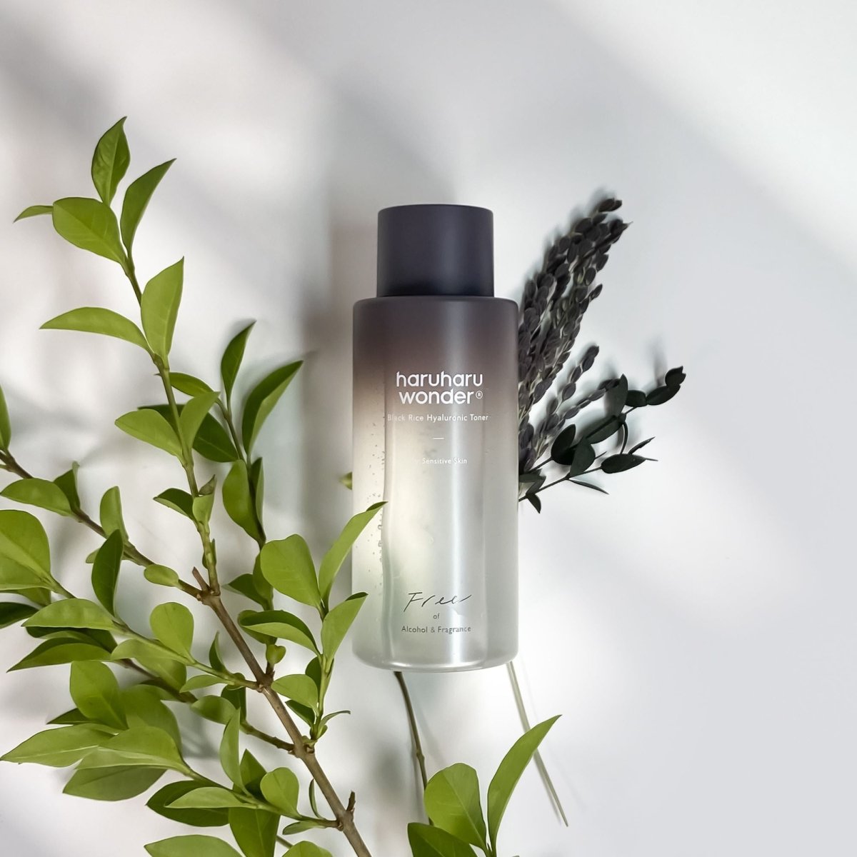 Haruharu Wonder Black Rice Hyaluronic Toner Free of Alcohol Fragrance 300ml | La Cosmetique