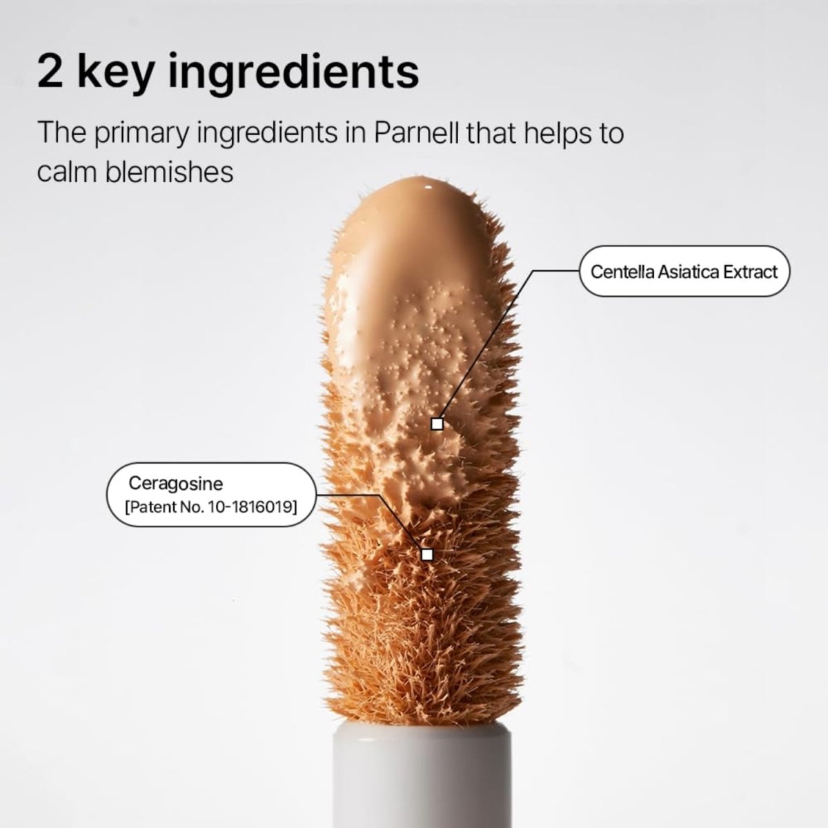 Parnell Cicamanu Skinfit Cover Concealer (2colours) | La Cosmetique