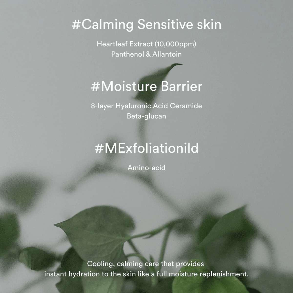 Abib Heartleaf Creme Calming Tube [75ml] | La Cosmetique