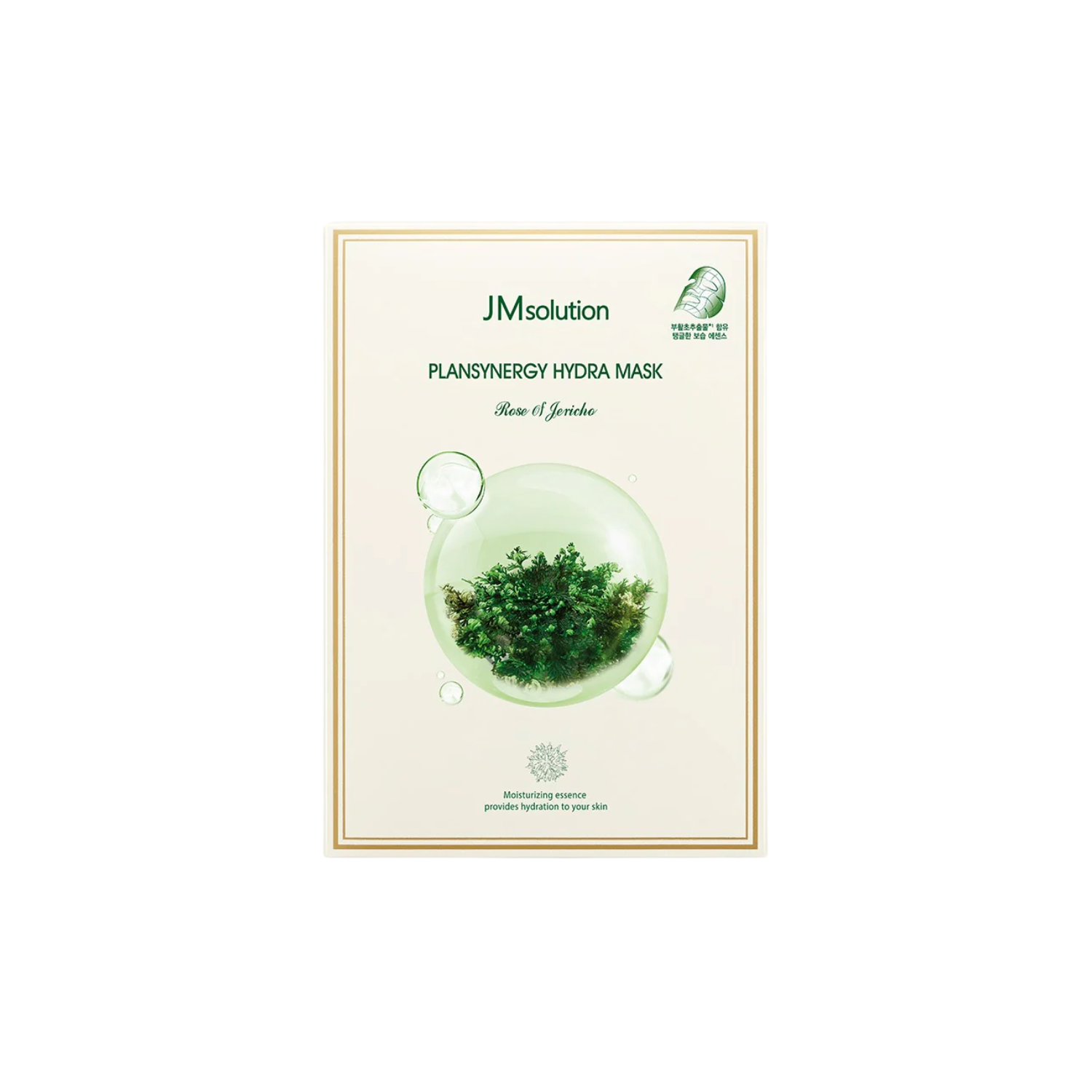 Plansynergy Hydra Mask Box [10pcs]
