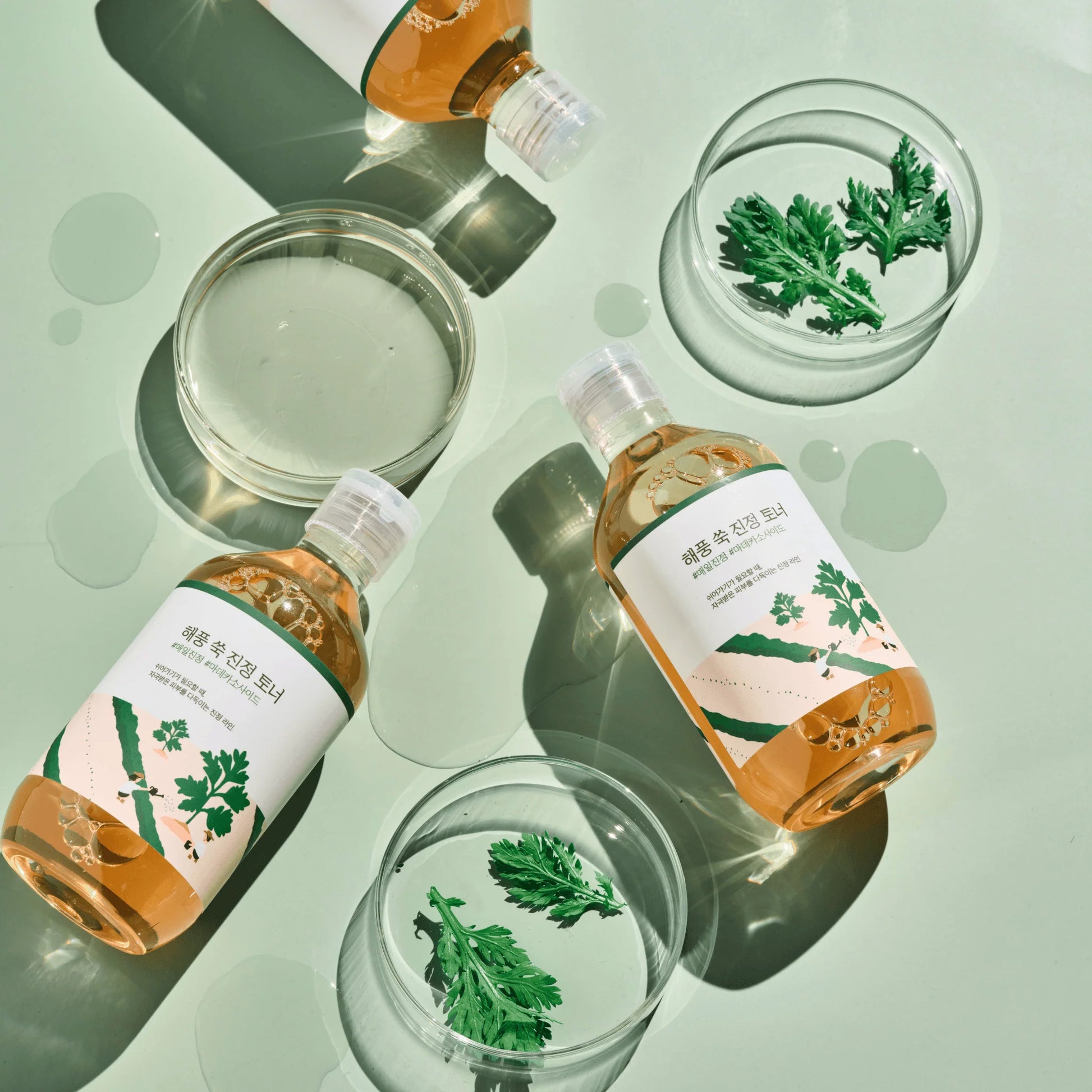 Round Lab Mugwort Calming Toner in a 300ml bottle with a clean label, designed to soothe and hydrate skin.