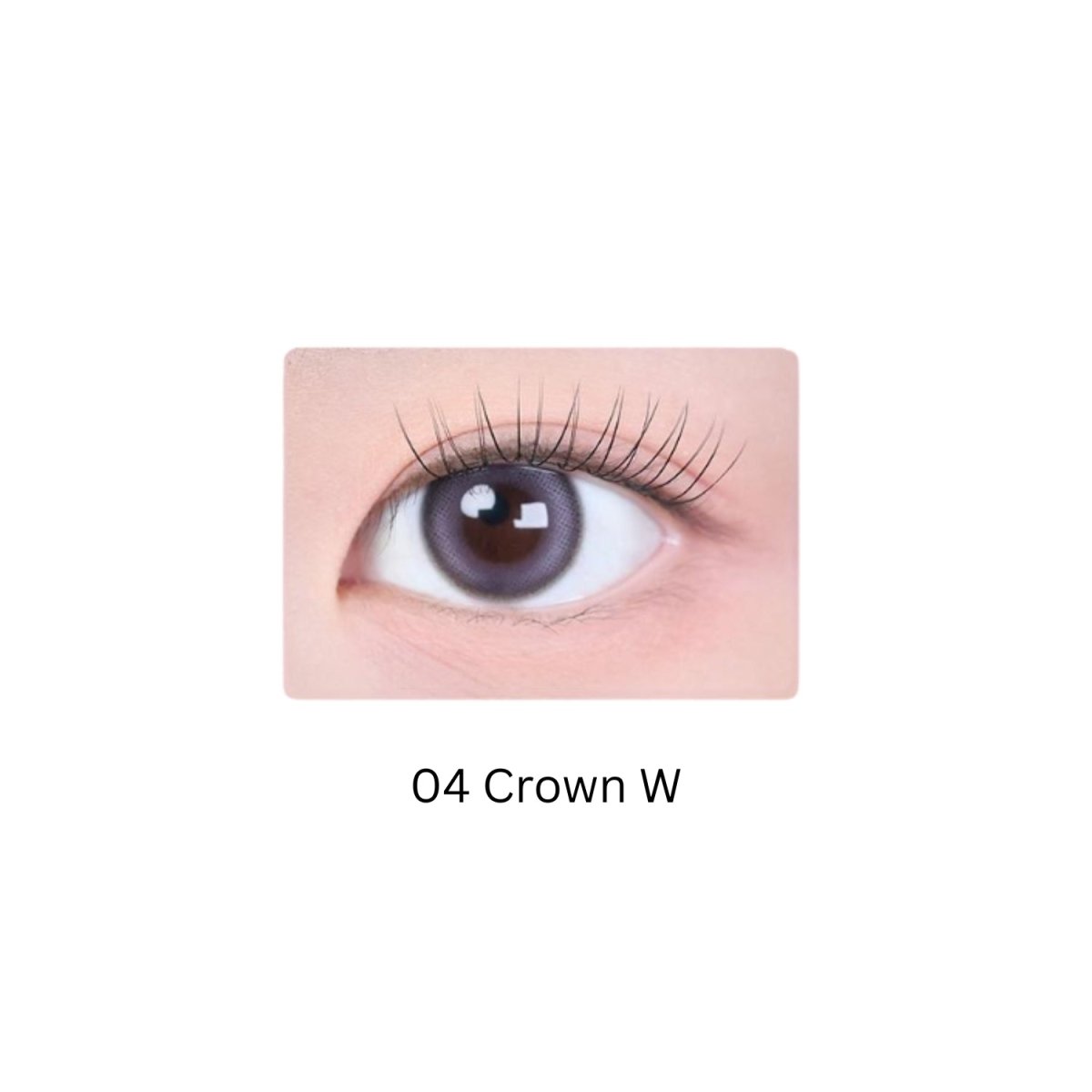 Fillimilli No-Glue Point Lashes | La Cosmetique