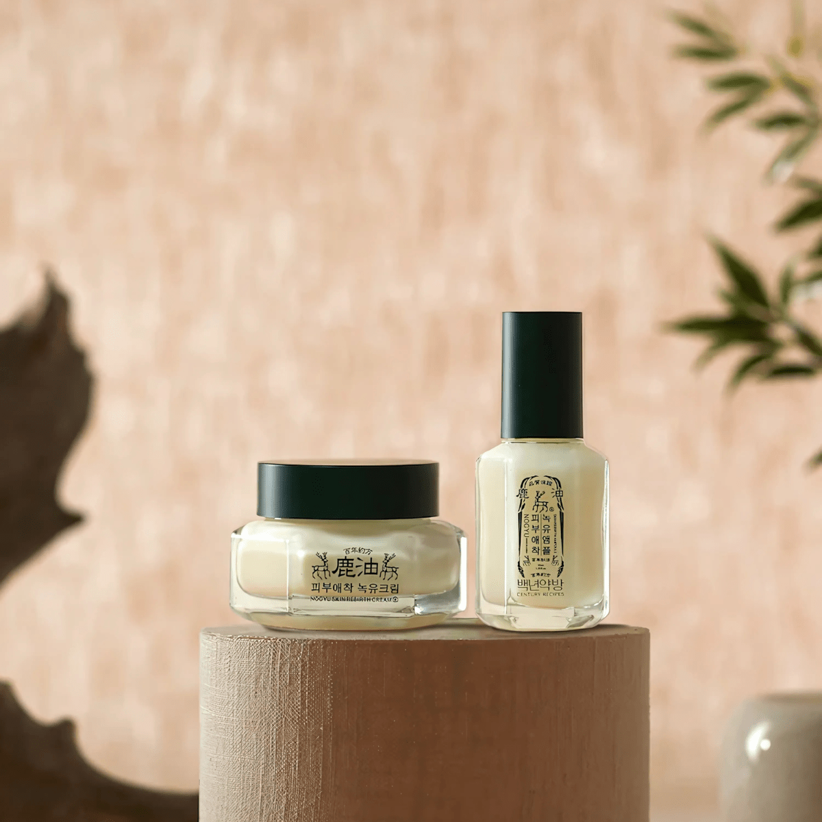 Century Recipes Nogyu Skin Rebirth Ampoule 40ml | La Cosmetique