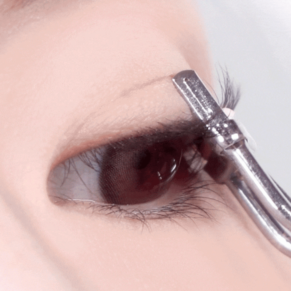 Coringco Pro Curling Partner Eyelash Curler | La Cosmetique