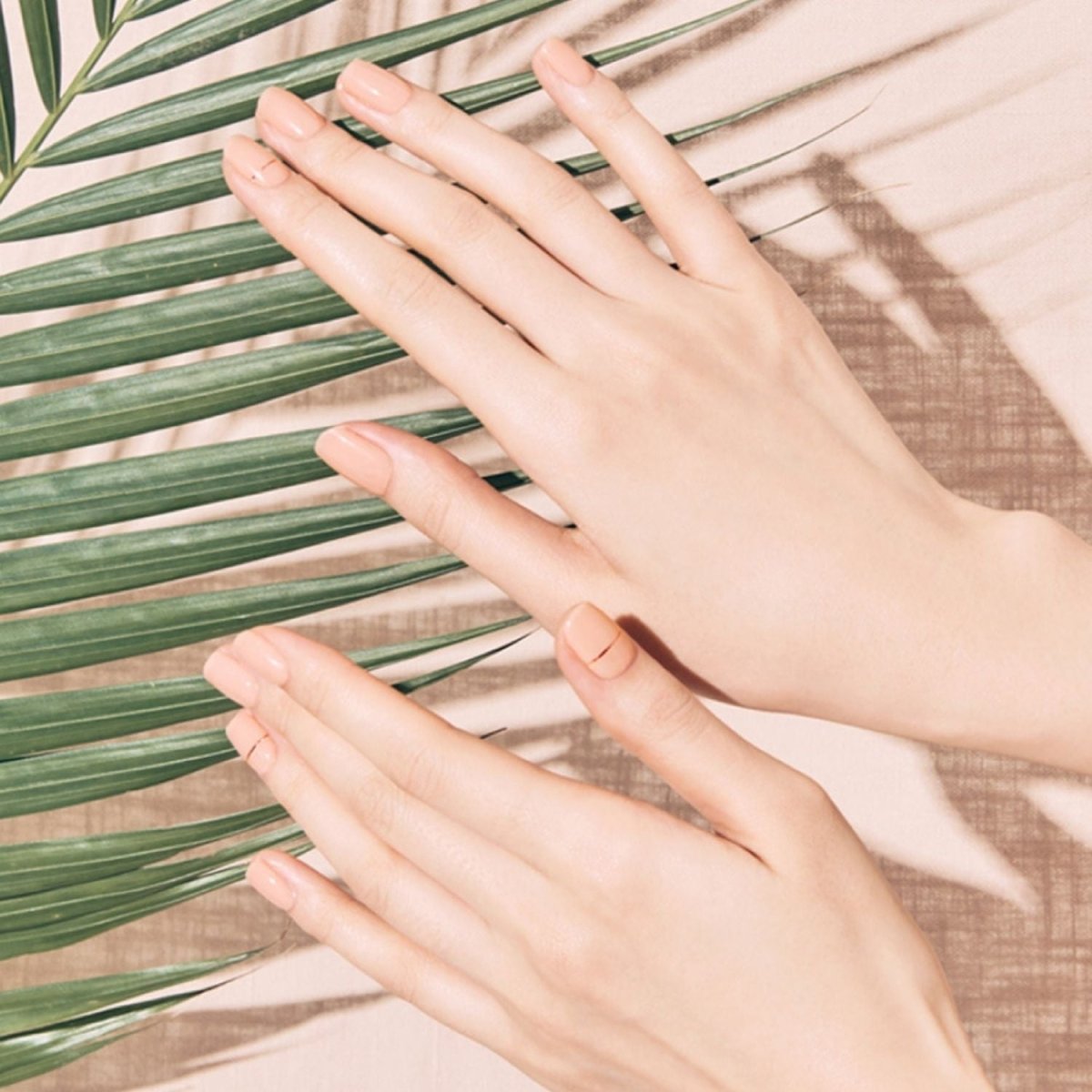 Ohora Semi - Cured Gel Nail - N Basic Nails No.11 | La Cosmetique