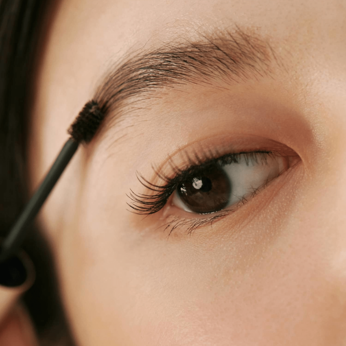 Hince Signature Brow Shaper | La Cosmetique