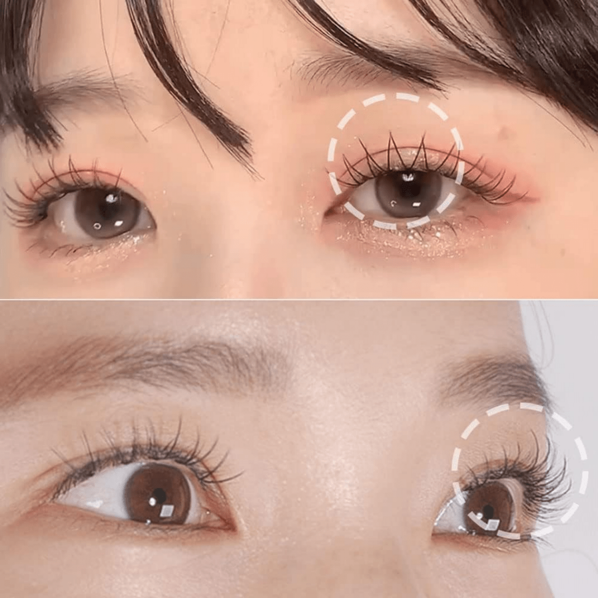 Coringco Toktokhara Check Eyelash [100pcs] | La Cosmetique
