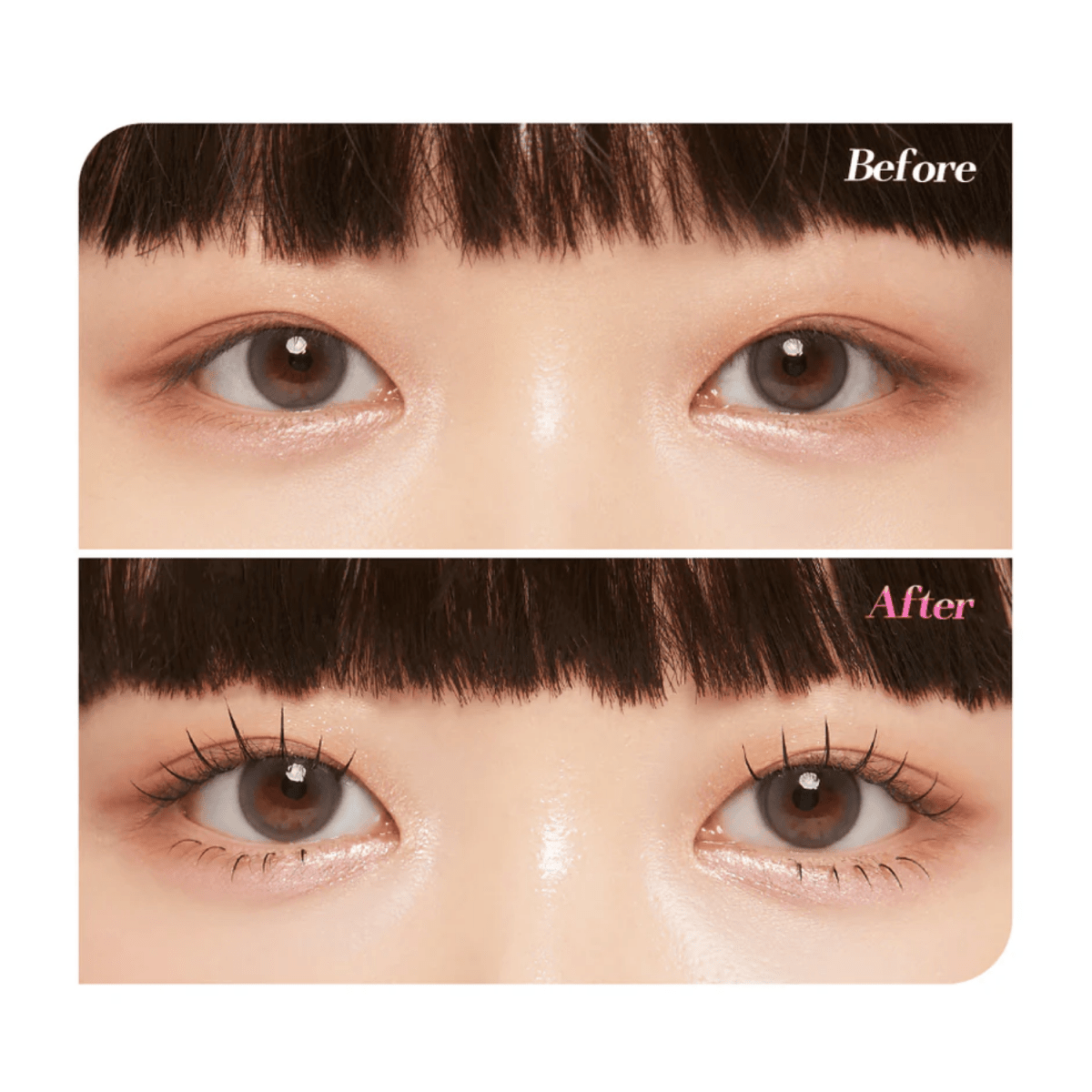 Coringco Toktokhara Filter Eyelash [200pcs] | La Cosmetique