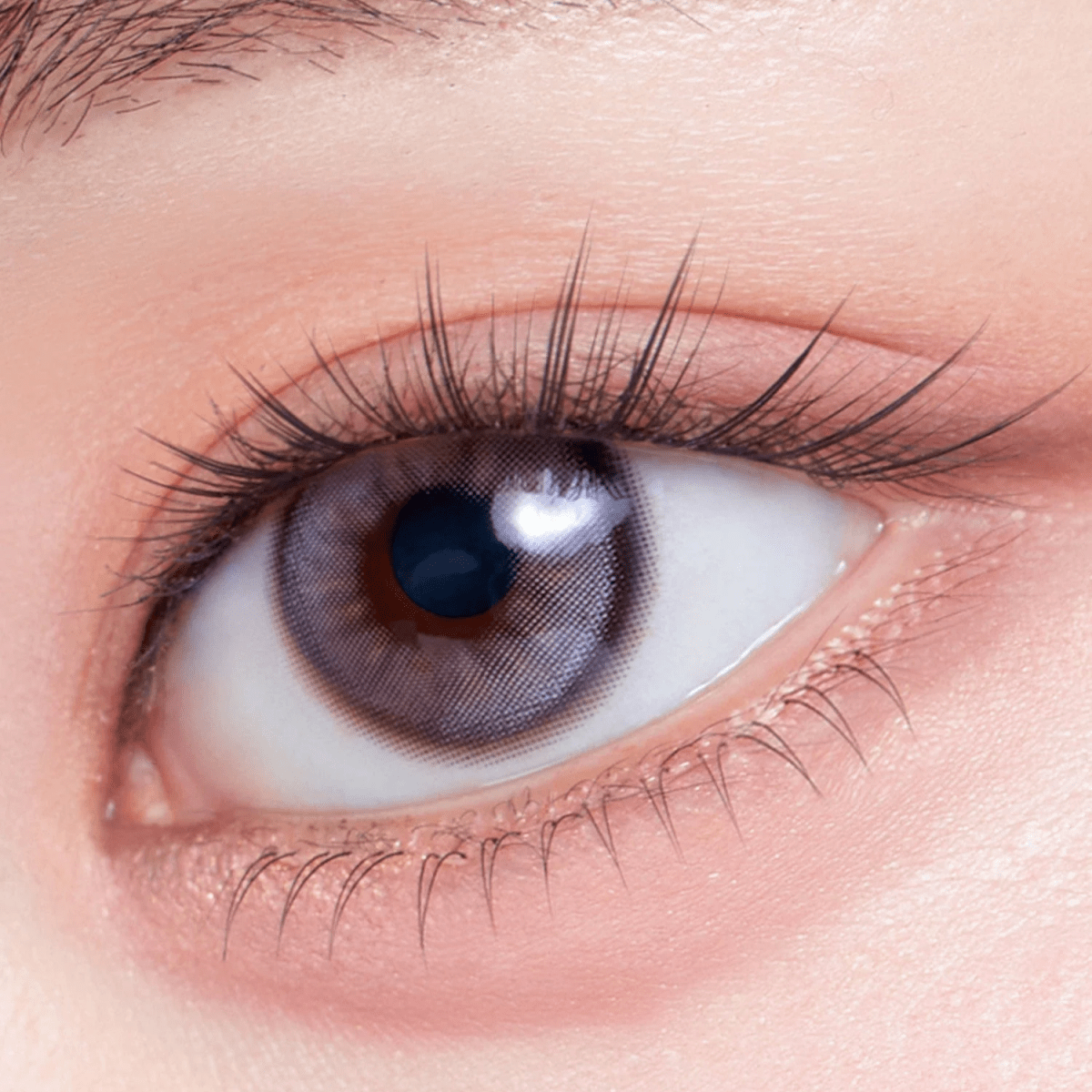 Coringco Toktokhara No Glue Half Eyelash [24pcs] | La Cosmetique