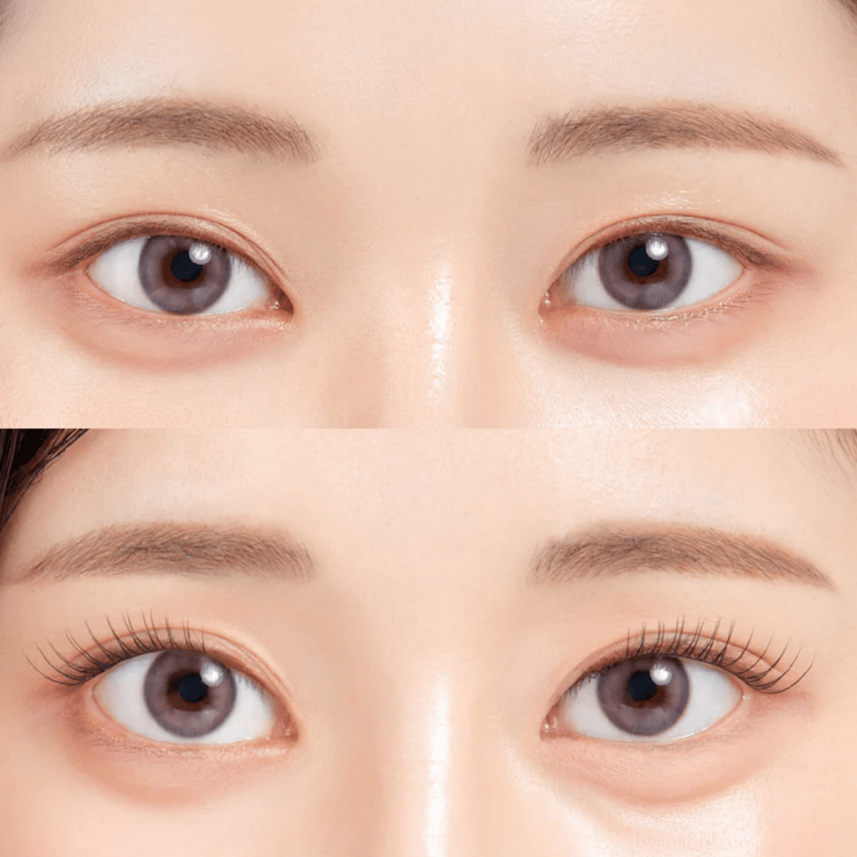 Coringco Toktokhara No Glue Half Eyelash [24pcs] | La Cosmetique
