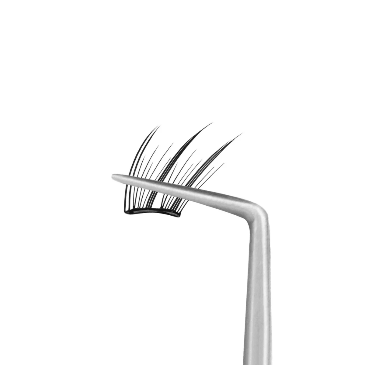 Coringco Toktokhara No Glue Half Eyelash [24pcs] | La Cosmetique