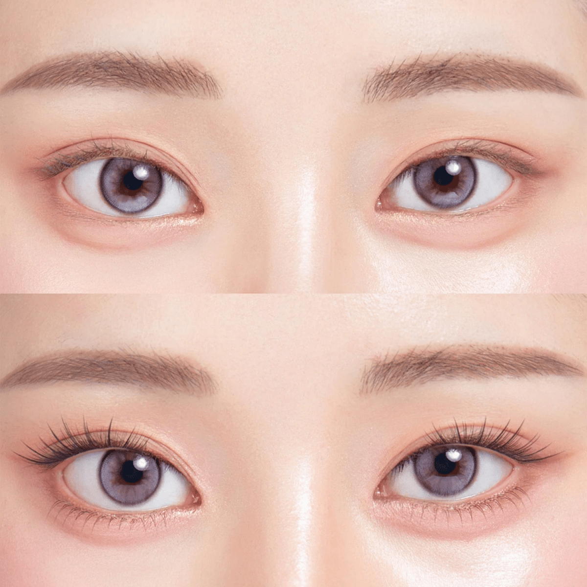 Coringco Toktokhara No Glue Half Eyelash [24pcs] | La Cosmetique