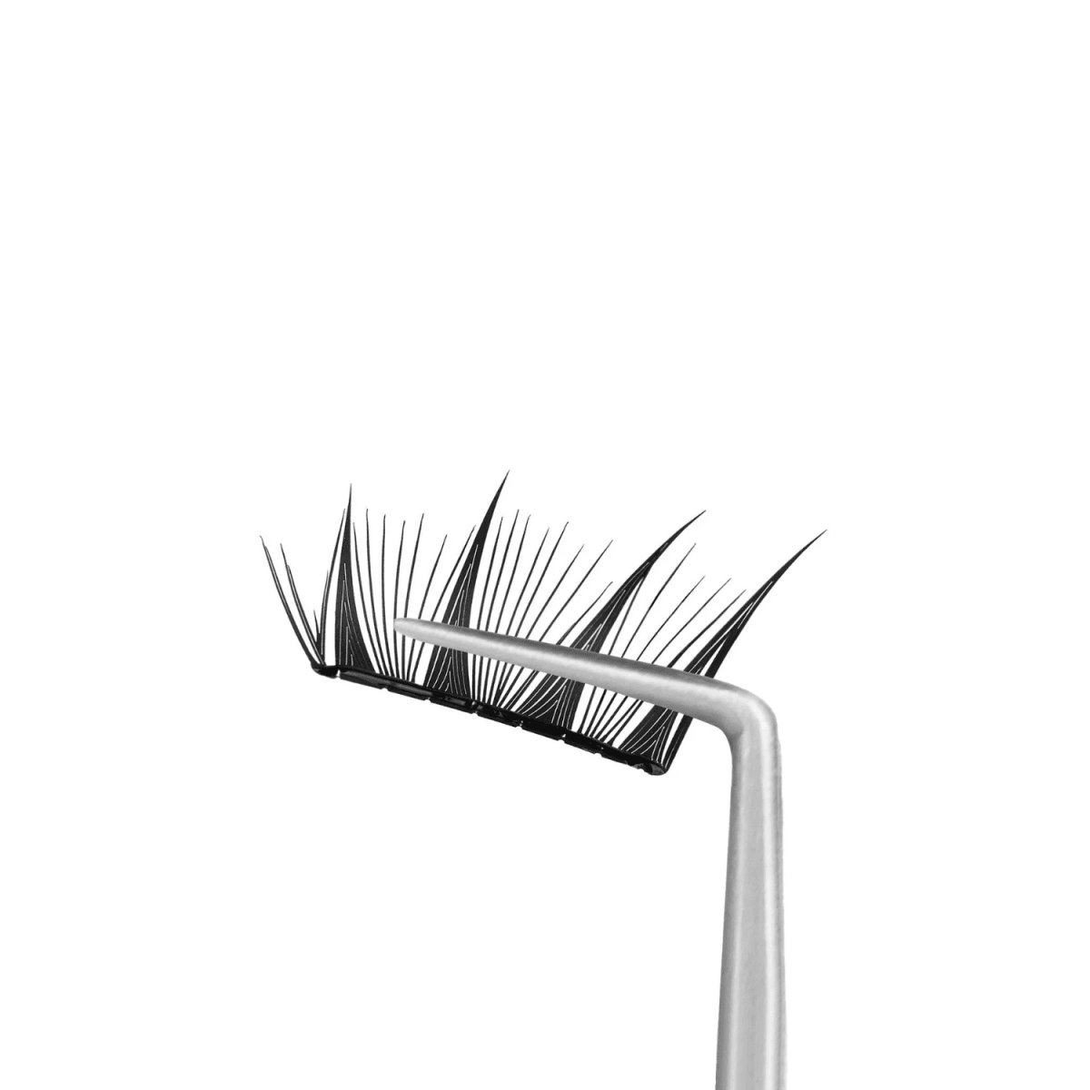 Coringco Toktokhara No Glue Half Eyelash [24pcs] | La Cosmetique