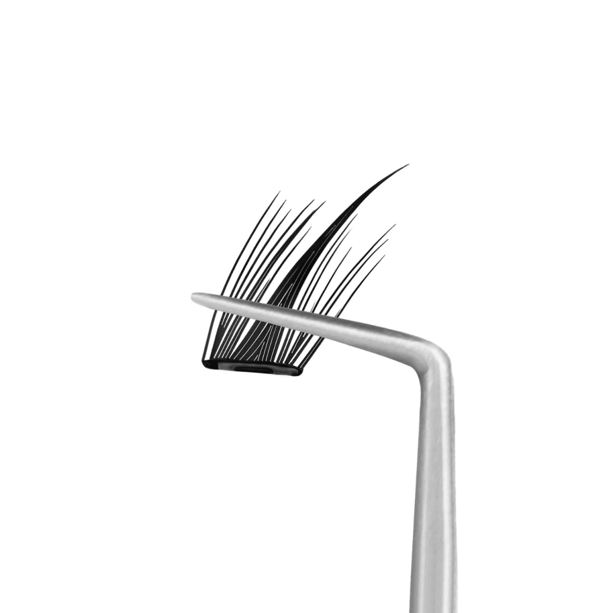 Coringco Toktokhara No Glue Half Eyelash [24pcs] | La Cosmetique