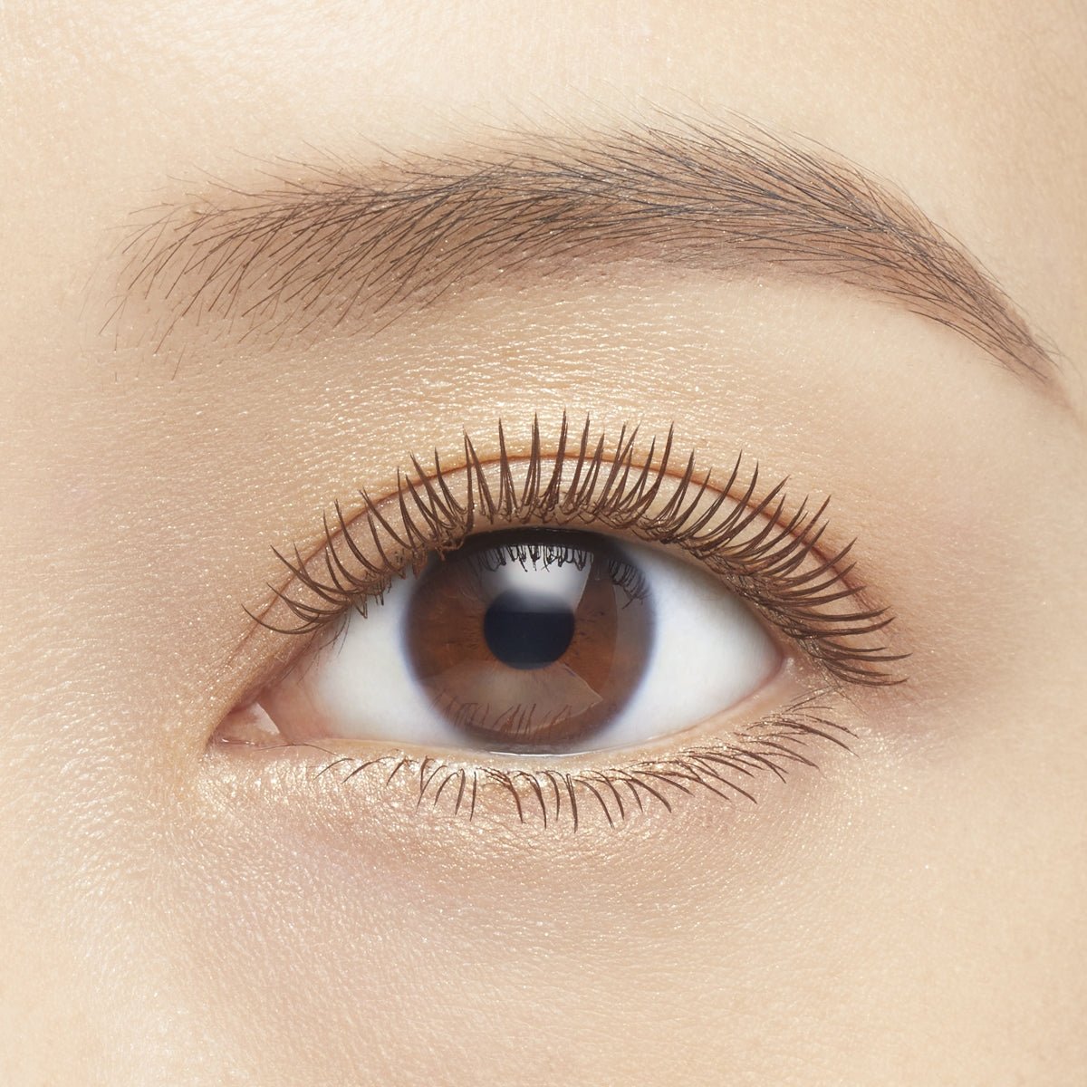 Kiss Me Volume & Curl Mascara Brown | La Cosmetique