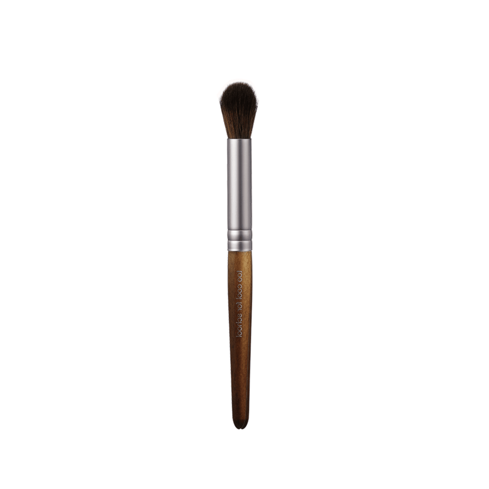 Too Cool For School Artist Vegan Brush Kit | La Cosmetique