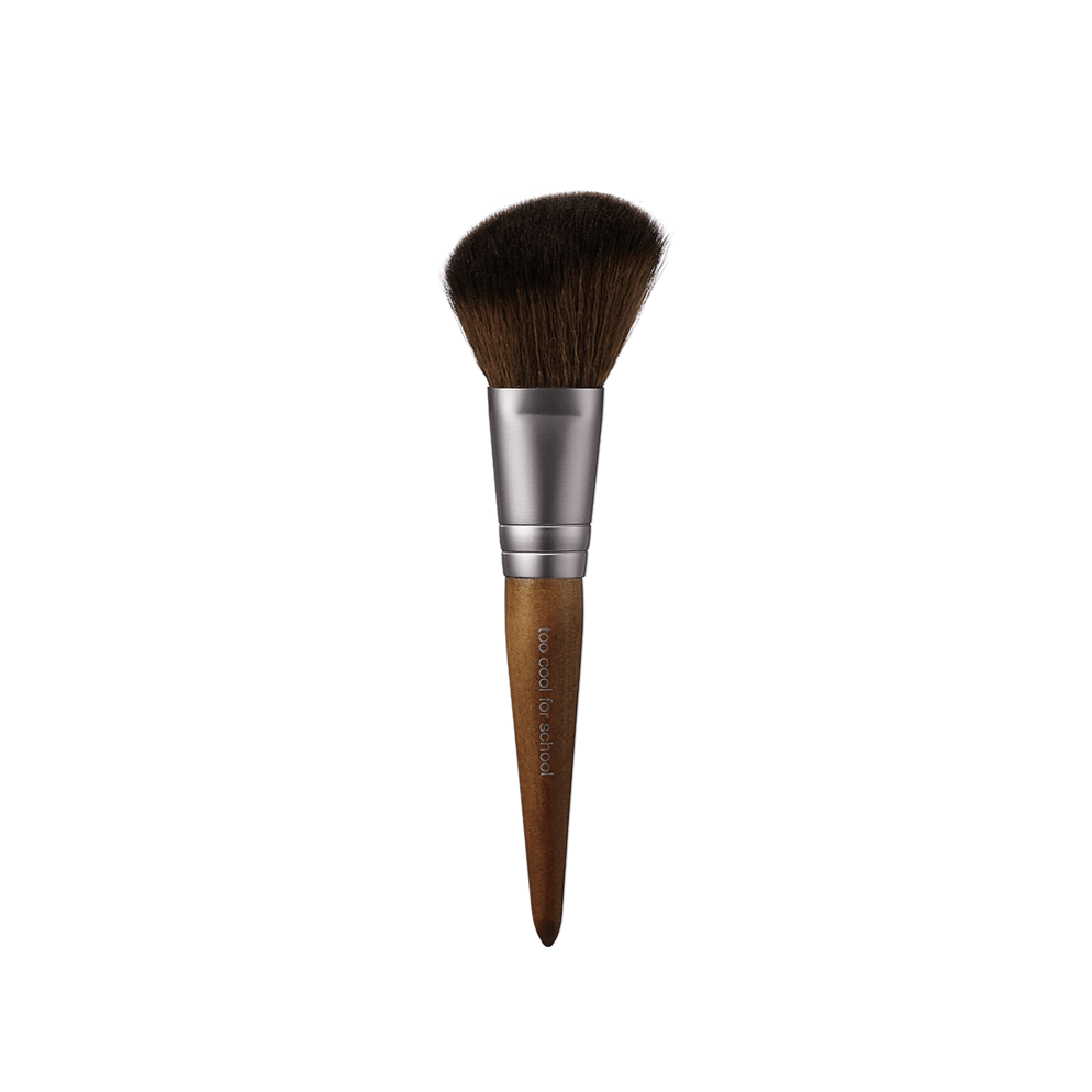 Too Cool For School Artist Vegan Brush Kit | La Cosmetique