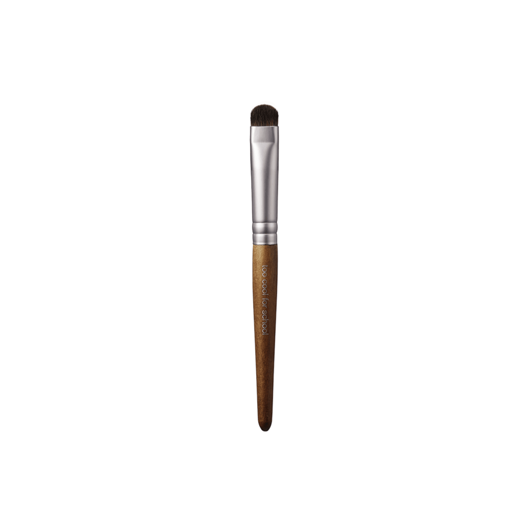 Too Cool For School Artist Vegan Brush Kit | La Cosmetique