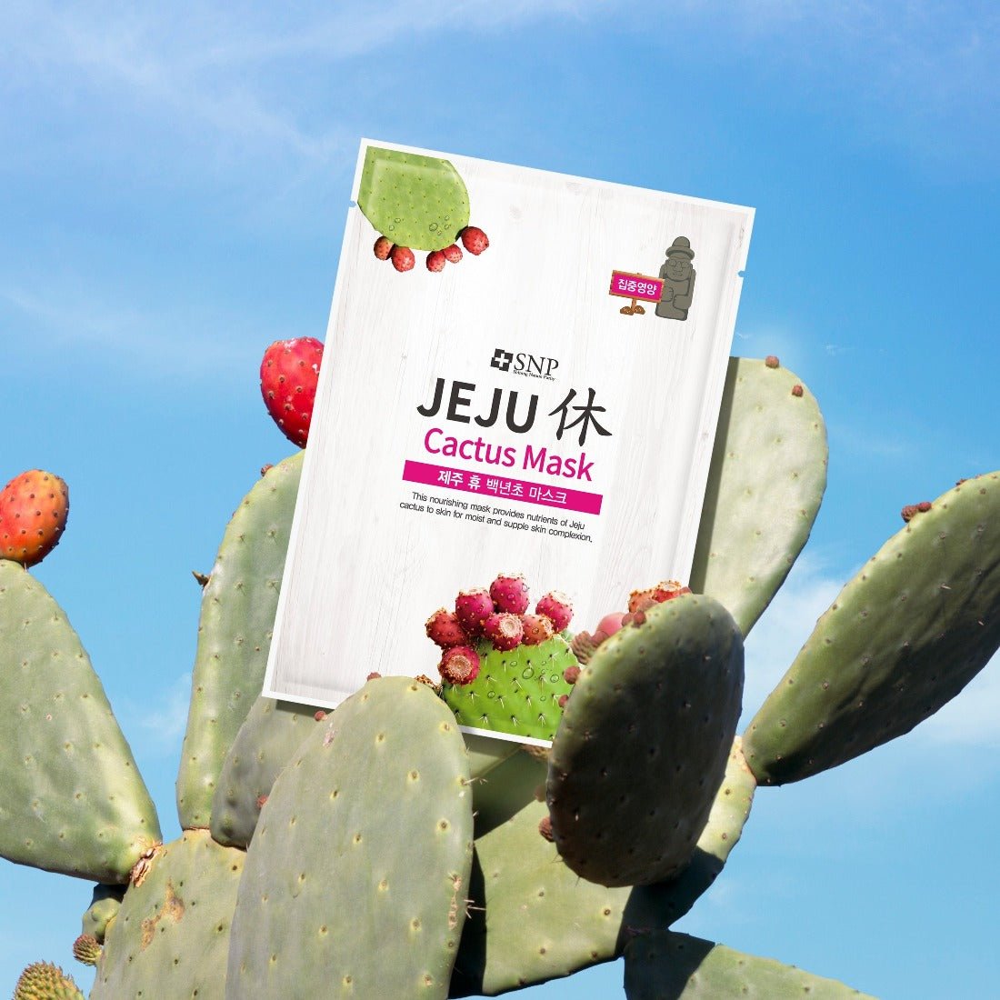 SNP Jeju Cactus Mask [1pc] | La Cosmetique