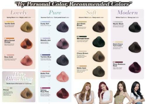 Mise-En-Scene New Hello Bubble Foam Hair Colour Dy | La Cosmetique