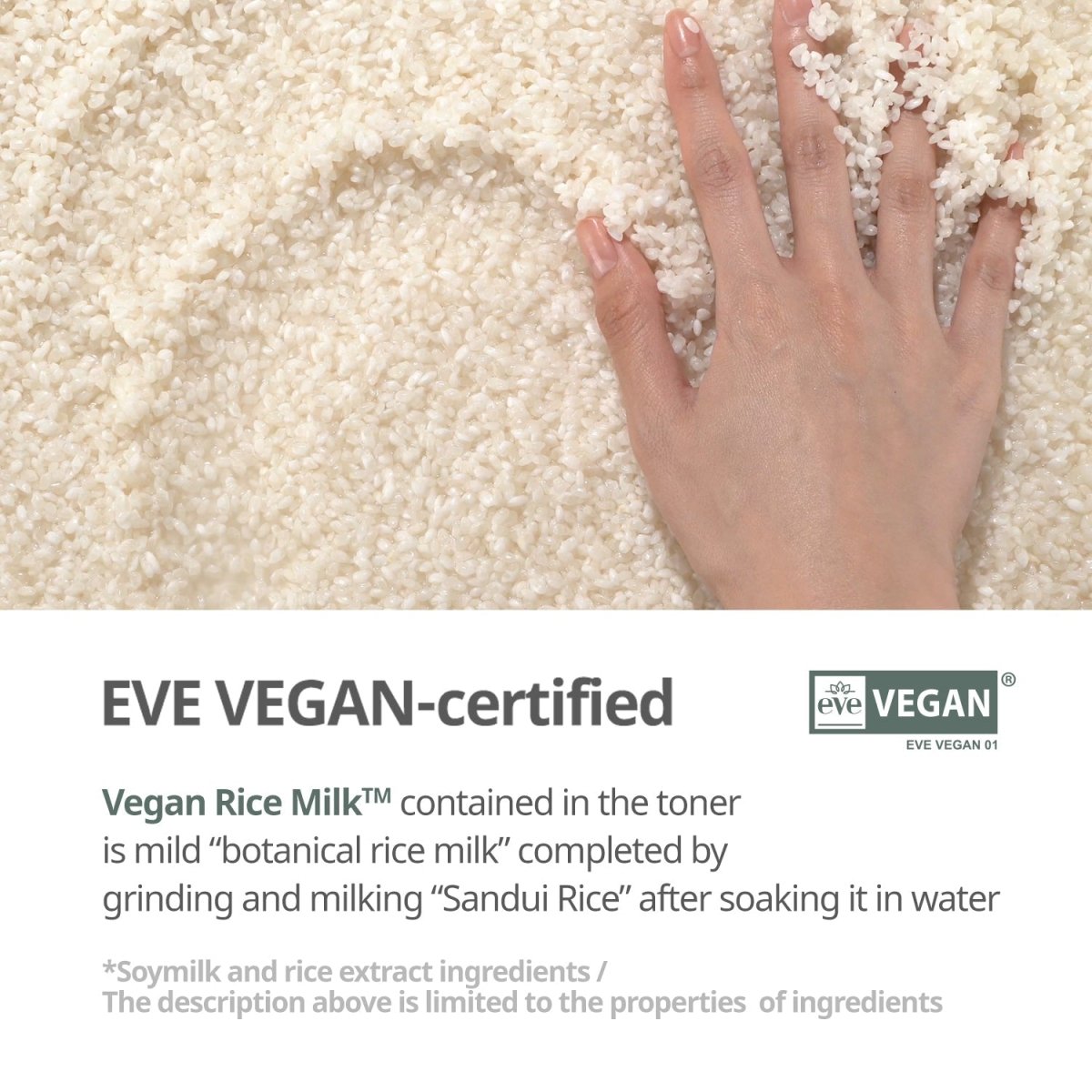 Goodal Vegan Rice Milk Moisturizing Toner 250ml | La Cosmetique